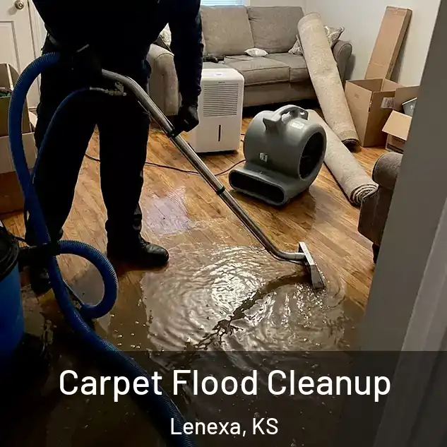  Carpet Flood Cleanup Lenexa, KS