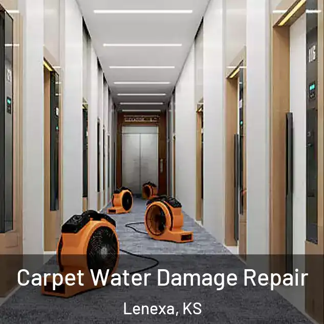  Carpet Water Damage Repair Lenexa, KS