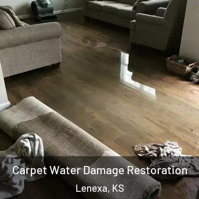  Carpet Water Damage Restoration Lenexa, KS