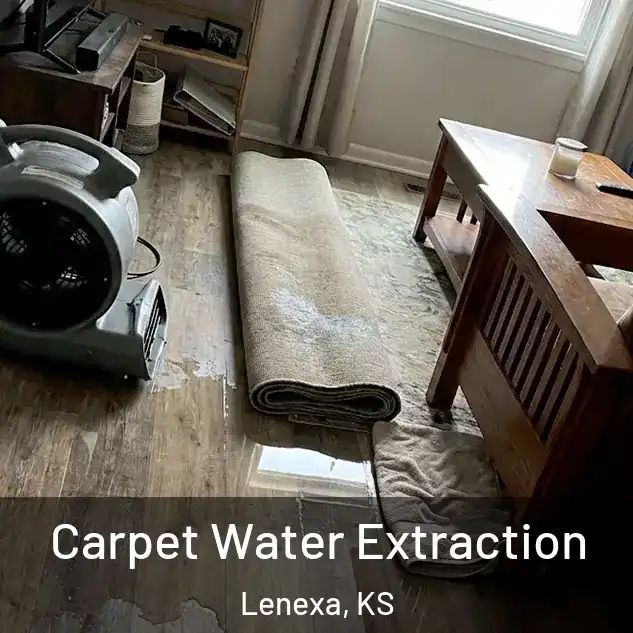  Carpet Water Extraction Lenexa, KS