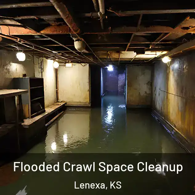  Flooded Crawl Space Cleanup Lenexa, KS
