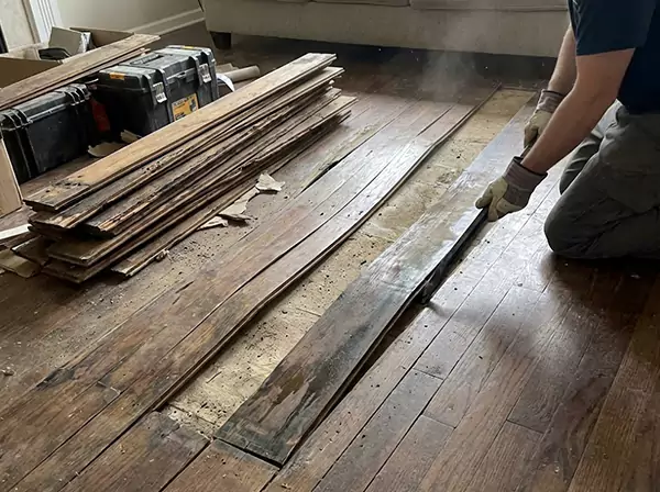 Water Damage Drying in Lenexa