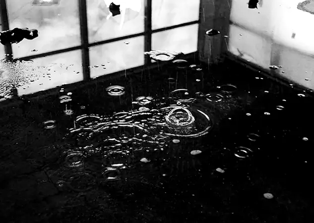 Your Contaminated Water Removal Specialists in Lenexa, KS