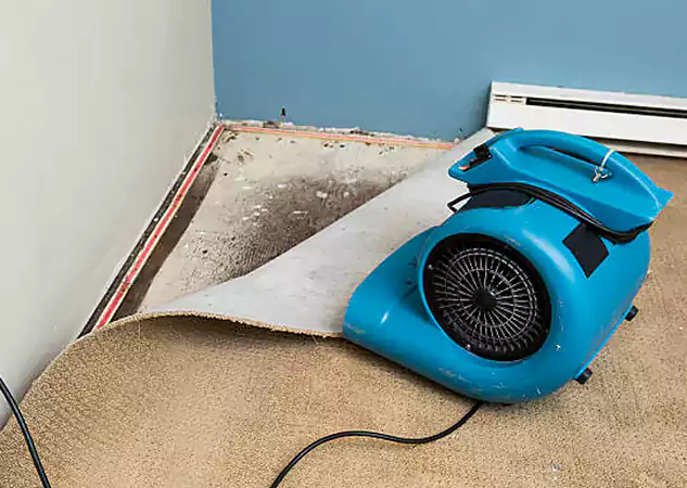 Your Water Damage Experts in Lenexa, KS
