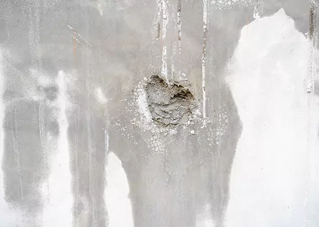Your Mold Mitigation Solutions Partner in Lenexa, KS