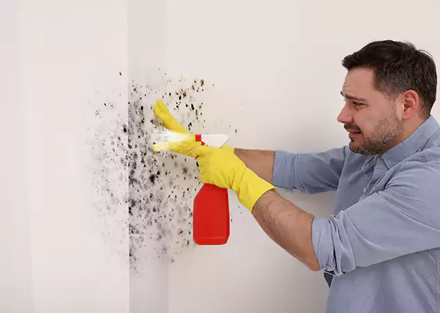 Your Water Mold Fire Restoration Partner in Lenexa, KS