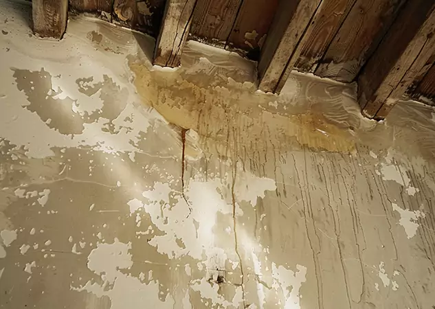 Your Trusted Restoration Company in Lenexa, KS