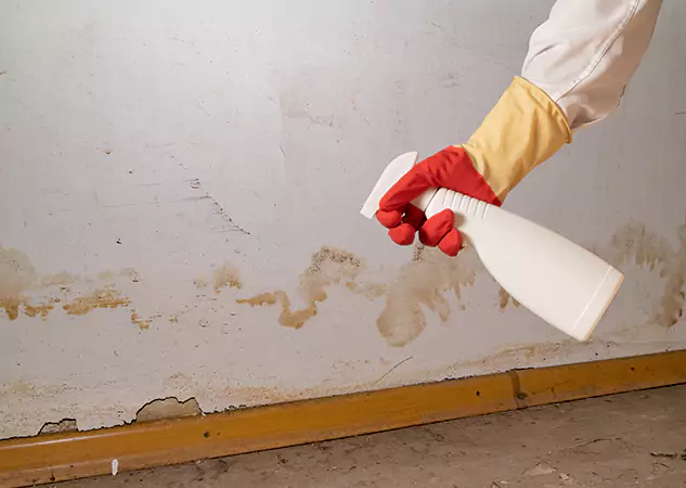 Your Water Restoration and Mold Remediation Specialists in Lenexa, KS