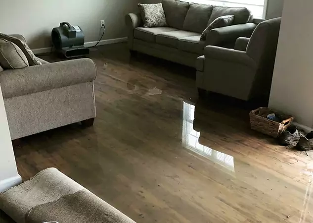 Your Trusted Restoration Company in Lenexa, KS
