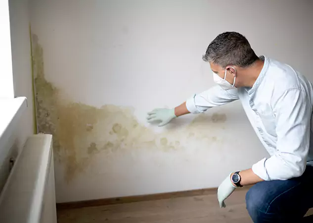 Reach Our Remediation Team Before Damage Grows in Lenexa, KS!