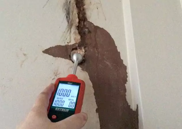 Your Water Damage Assessment Partner in Lenexa, KS