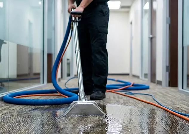 Your Water Damaged Carpet Restoration Partner in Lenexa, KS