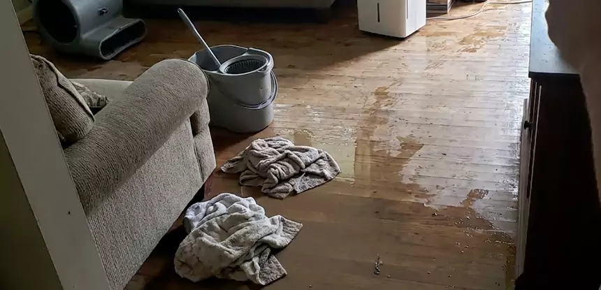 Professional Basement Water Remediation Services in Lenexa, KS