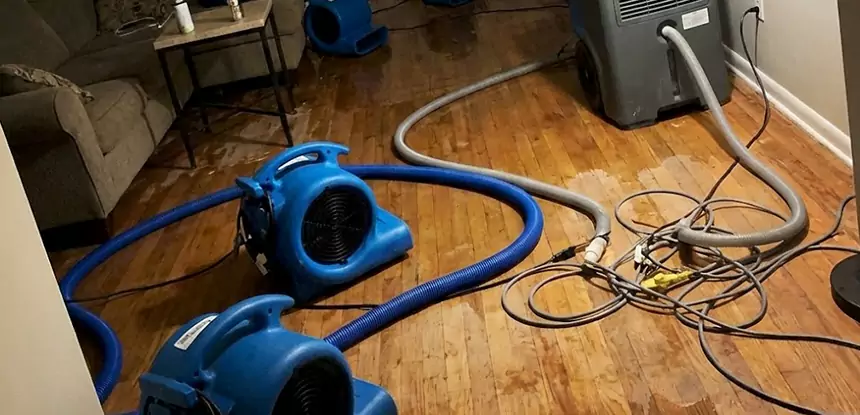 Basement Flood Restoration Services in Lenexa