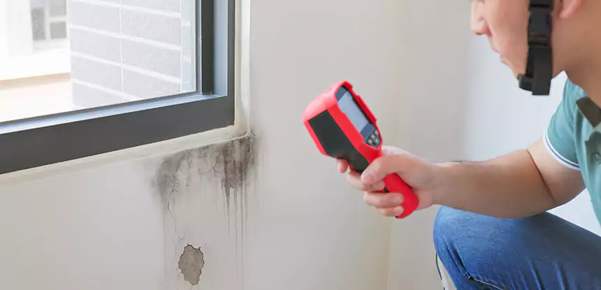 Wall Texture Repair After Mold in Lenexa
