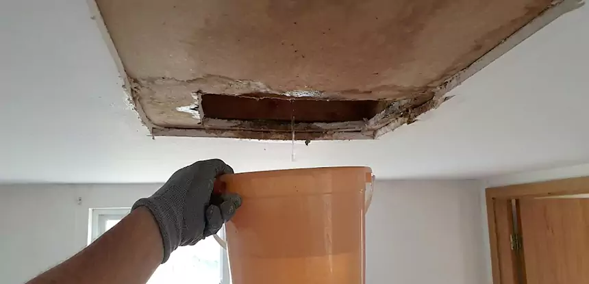 Ceiling Mold Repair Lenexa 