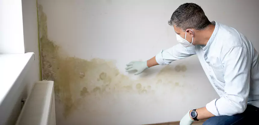 Mold and Water Damage Repair in Lenexa