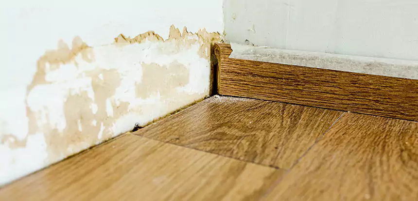 Professional Fix Water Damaged Wood Services in Lenexa, KS