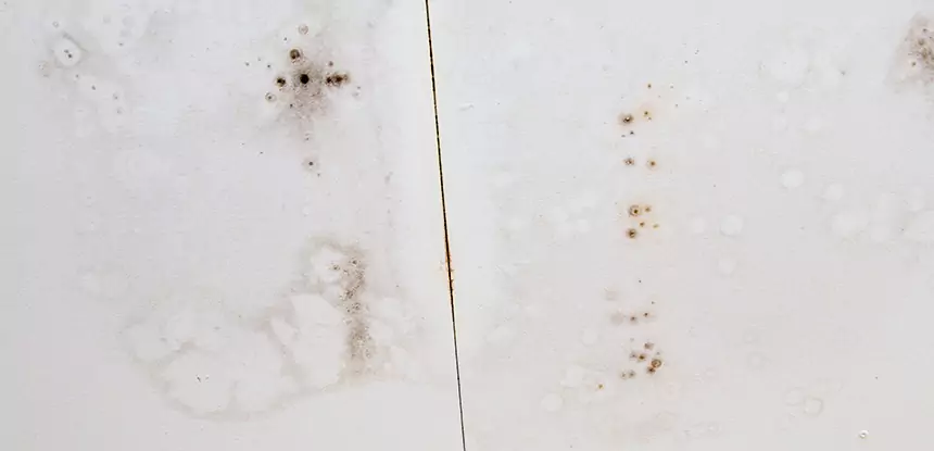 Professional Water Stain Repair Services in Lenexa, KS