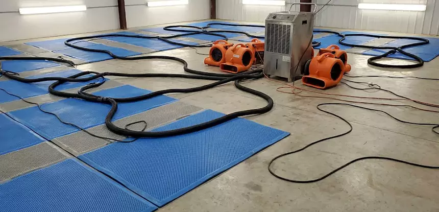 Professional Flooded Carpet Drying Services in Lenexa, KS