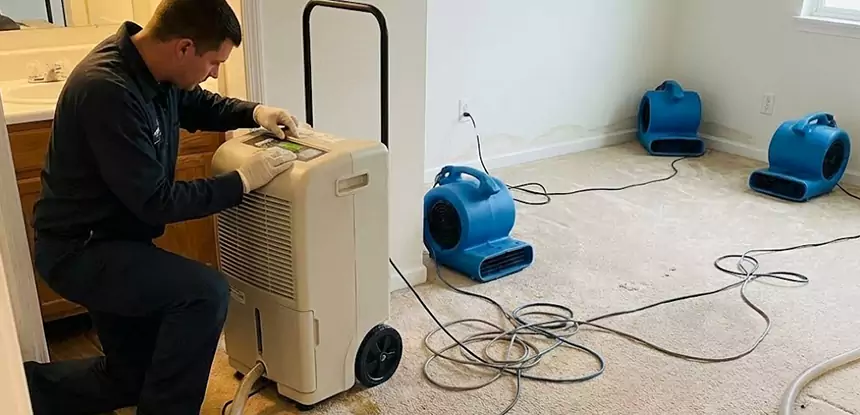 Professional Wet Carpet Removal Services in Lenexa, KS