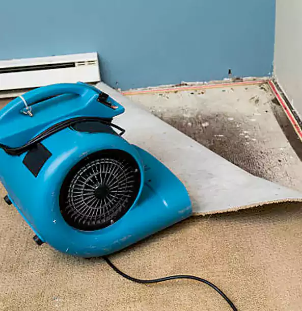 Why Lenexa Trusts Lenexa Restoration Pro for Carpet Flood Recovery?