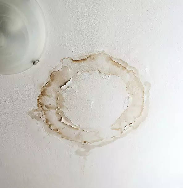Why Lenexa Property Owners Choose Lenexa Restoration Pro for Ceiling Water Damage Restoration?