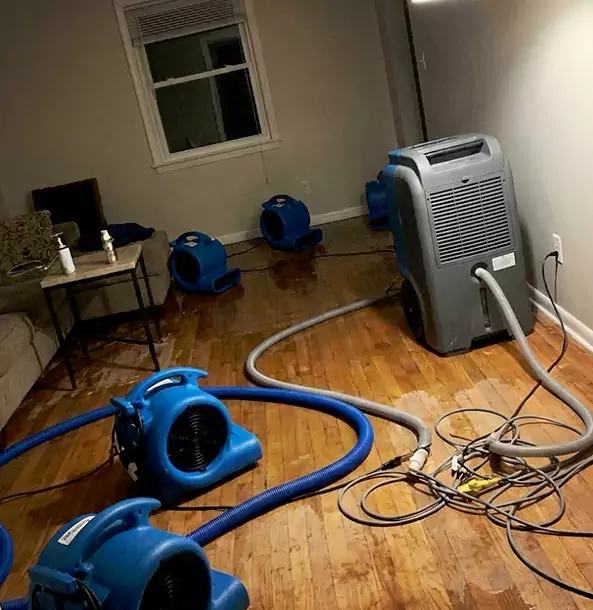Why Lenexa Calls Lenexa Restoration Pro First for Emergency Restoration?