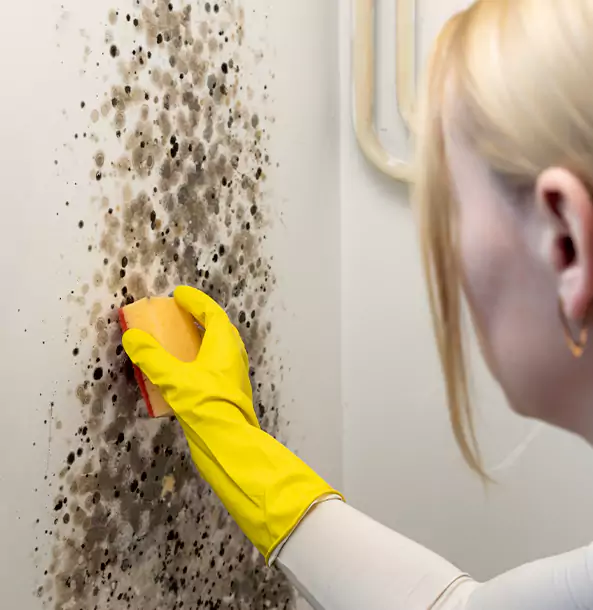 Why Lenexa Restoration Pro Leads Mold Remediation in Lenexa?