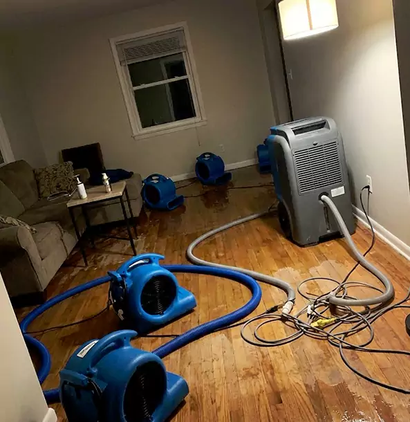 Why Lenexa Property Owners Rely on Lenexa Restoration Pro for Remediation?