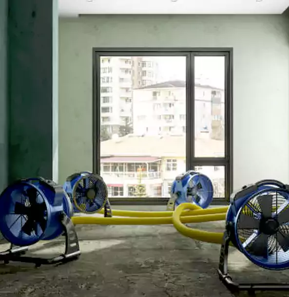 Why Lenexa Property Owners Trust Lenexa Restoration Pro for Water Damage Drying?