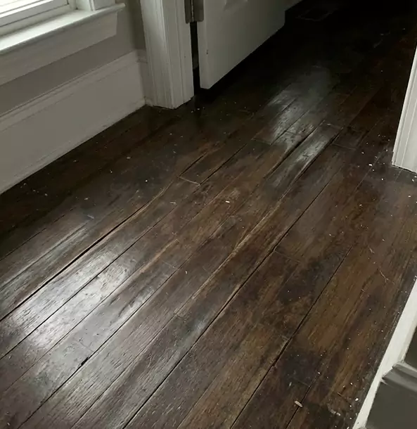 Why Lenexa Homeowners Trust Lenexa Restoration Pro to Fix Water Damaged Wood?