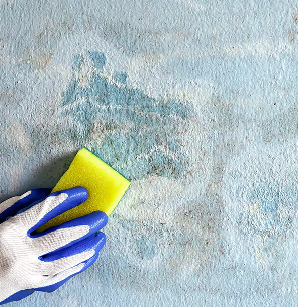 Why Lenexa Restoration Pro Is the Right Choice in Lenexa, KS?