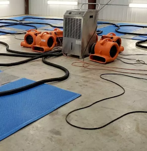 Why Lenexa Homeowners and Businesses Choose Lenexa Restoration Pro for Wet Carpet Removal?