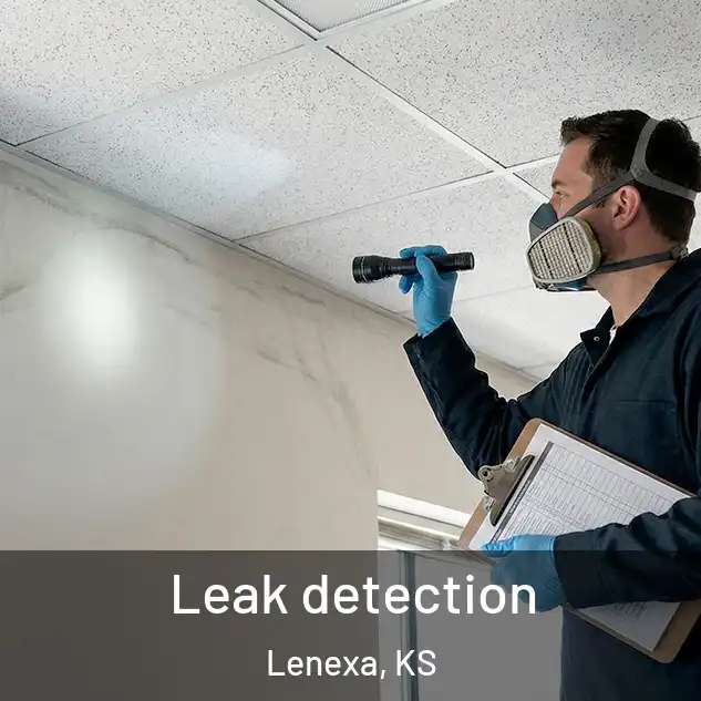  Leak detection Lenexa, KS