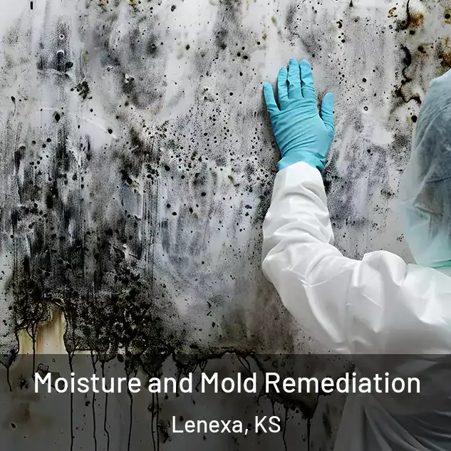  Moisture and Mold Remediation Lenexa, KS