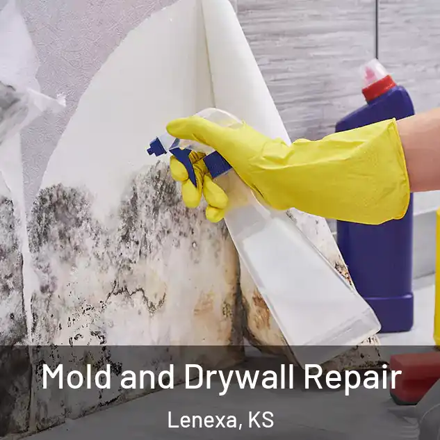  Mold and Drywall Repair Lenexa, KS