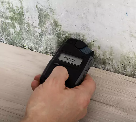 Mold Remediation Service Lenexa