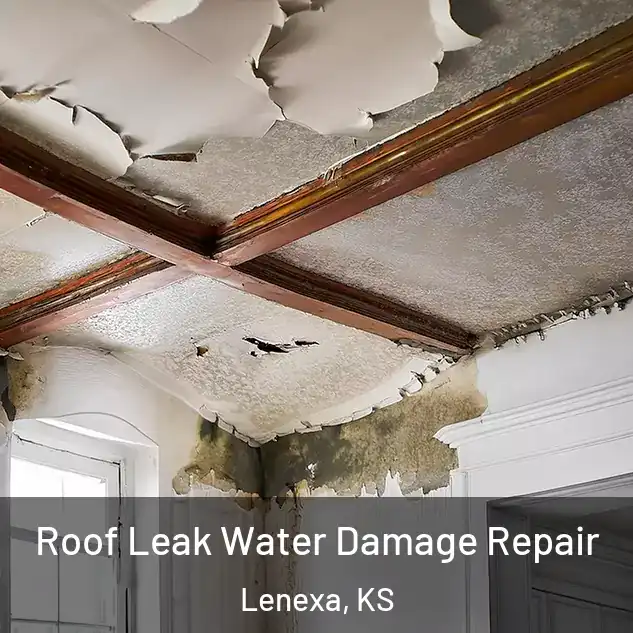  Roof Leak Water Damage Repair Lenexa, KS