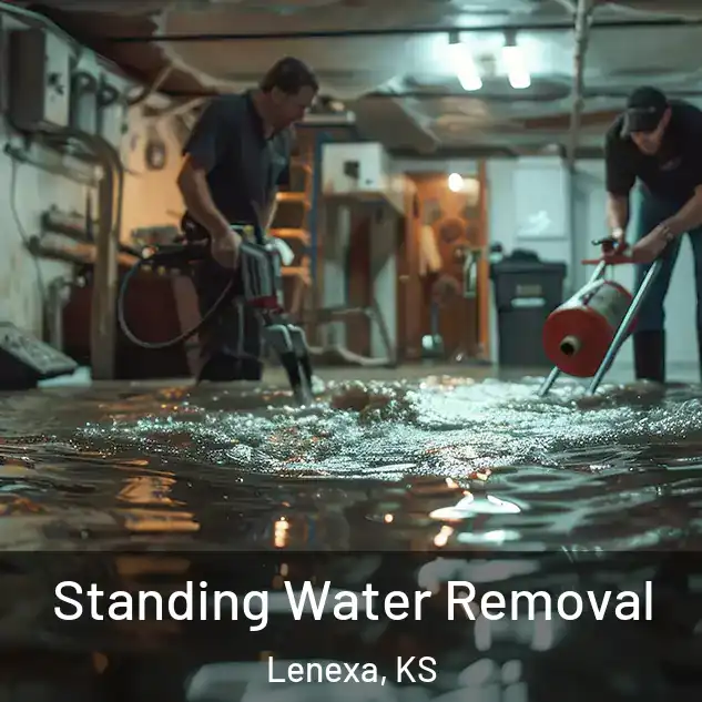  Standing Water Removal Lenexa, KS