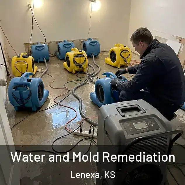 Water and Mold Remediation Lenexa, KS