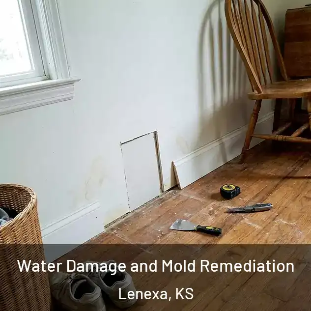  Water Damage and Mold Remediation Lenexa, KS