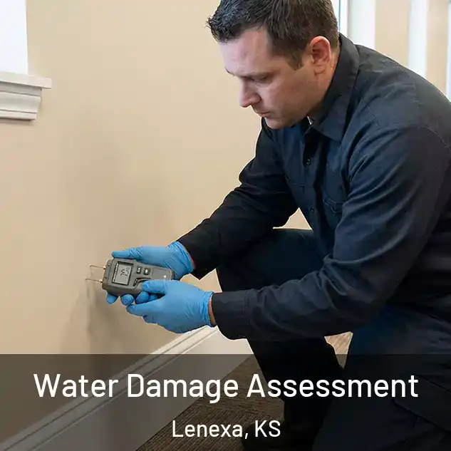  Water Damage Assessment Lenexa, KS