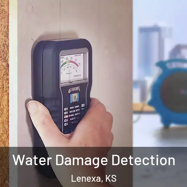  Water Damage Detection Lenexa, KS
