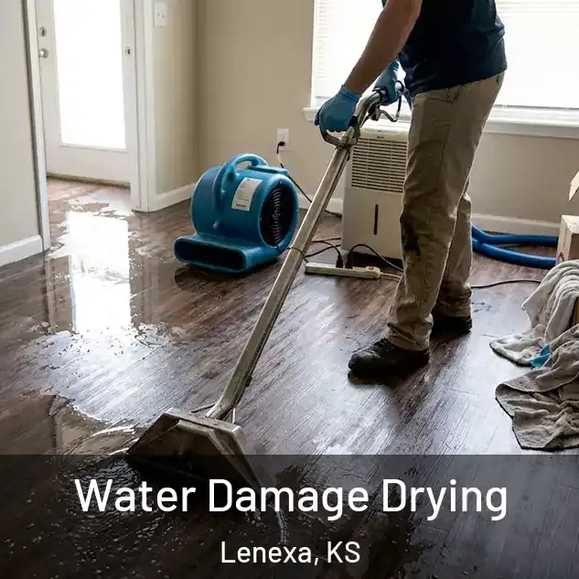  Water Damage Drying Lenexa, KS