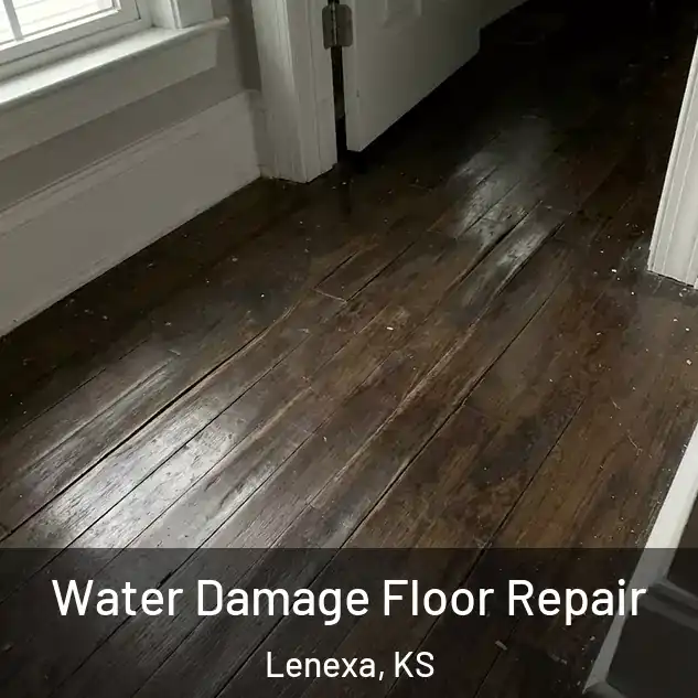  Water Damage Floor Repair Lenexa, KS