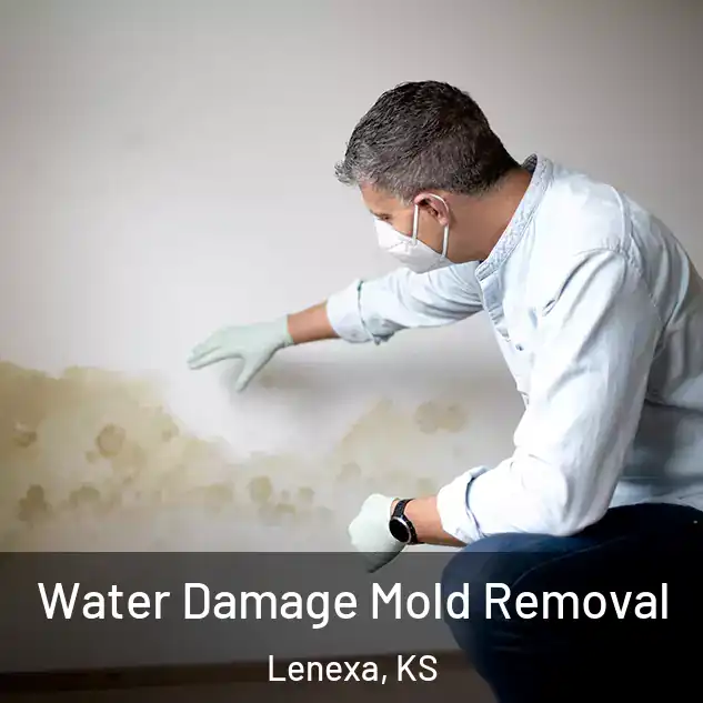  Water Damage Mold Removal Lenexa, KS