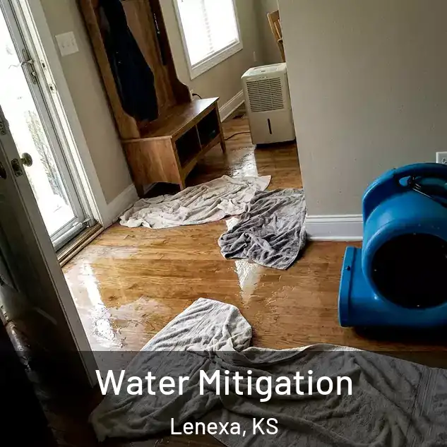  Water Mitigation Lenexa, KS