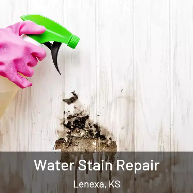  Water Stain Repair Lenexa, KS