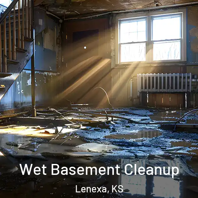  Wet Basement Cleanup Lenexa, KS